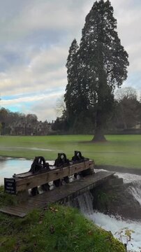 lake and forest the Castle Combe weir and waterfall in Wiltshire, England.