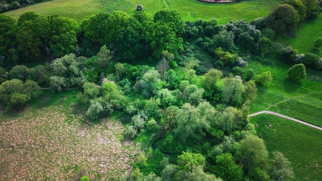 Drone aerial view over green woodland, scrub, trees and surrounding countryside habitat in the United Kingdom on a spring day.