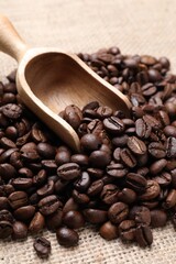 Fototapeta premium Aromatic coffee beans and scoop on burlap fabric, closeup
