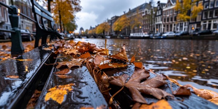 Wet autumn leaves covering bench along amsterdam canal