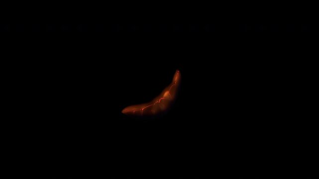 Partial circular burning arc with active ignition, glowing hot edges and smoldering material, isolated on black for fire reveals, transitions and compositing.