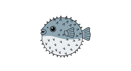 Puffed up pufferfish side view. © Muna