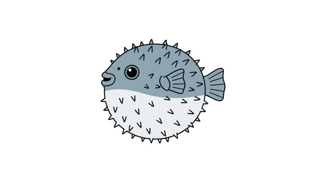 Puffed up pufferfish side view.