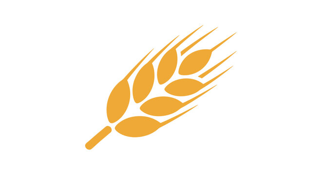Golden Wheat Grain Illustration.
