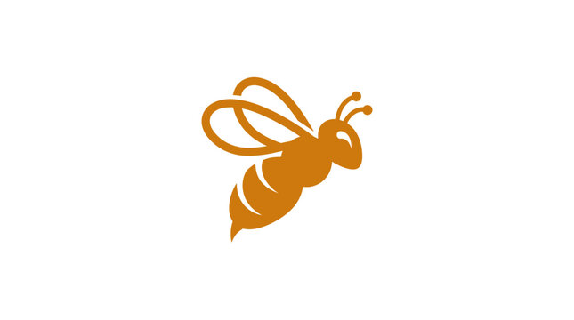 Insect Bee Flying Orange Color.