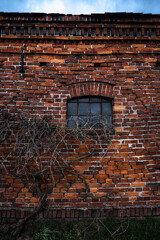 Brick Wall from an Old Farm Building in Brandenburg, Germany © Hanjo Hellmann