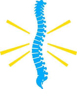 Spine Vertebrae Anatomy Medical Illustration.