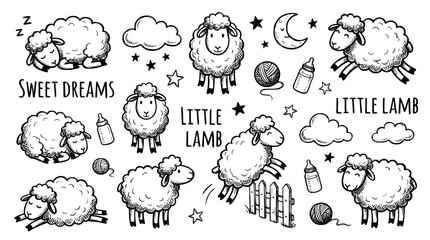 Fototapeta premium Cute hand drawn sheep collection, baby nursery art, vector illustration