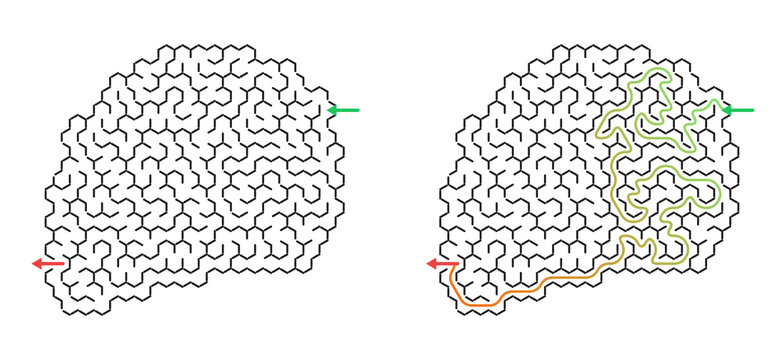 Maze design with pathways highlighted in various colors  