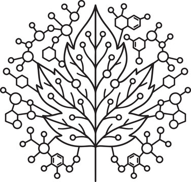 Black line art of leaf with molecular structure Vector