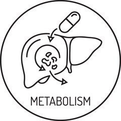 Obraz premium Liver metabolism concept with pill and icon Vector