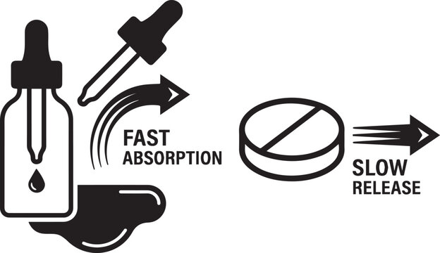 Fast absorption versus slow release supplement comparison Vector