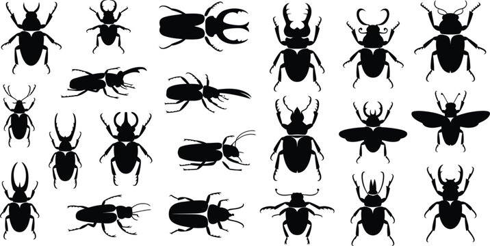 Stag beetle silhouette vector set, rhinoceros beetle insect icons isolated black wildlife collection for logo design