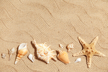 Naklejka premium Many sea shells on sand