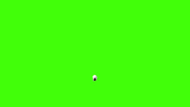 4k White albino house mouse run approaching from a distance front view animation on Green Screen, 3D mus musculus rodent mice fast running rendering on the chroma key, video for your rhymes, stories