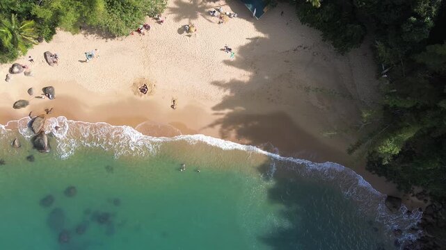 Aerial view of a small, idyllic beach with clear waters, surrounded by trees, and people on the sand. Praia do Cedro, Sao Paulo