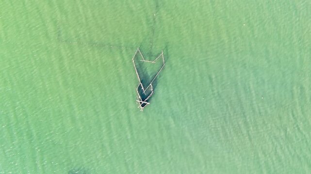 Overhead aerial view of a traditional bamboo fish trap structure anchored alone in calm shallow green-tinted water, Inner Malampaya Sound, Taytay, Palawan, Philippines.