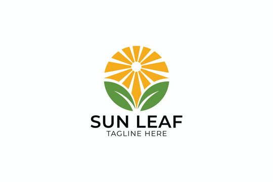 Modern Sun Leaf Fresh Morning Logo Design with Circle Vector Template