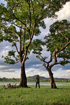 Tourist standing between two big trees enjoying scenic mountain and lake view at Huai Sa Thot, Kalasin, Thailand.