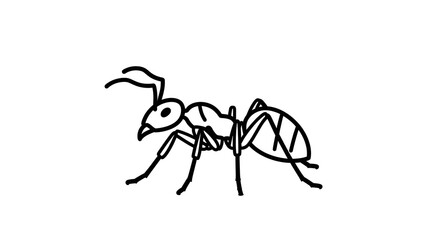 Fototapeta premium Simple Black and White Ant Line Art Illustration. Minimalist Insect Drawing, Isolated Bug Graphic on White Background