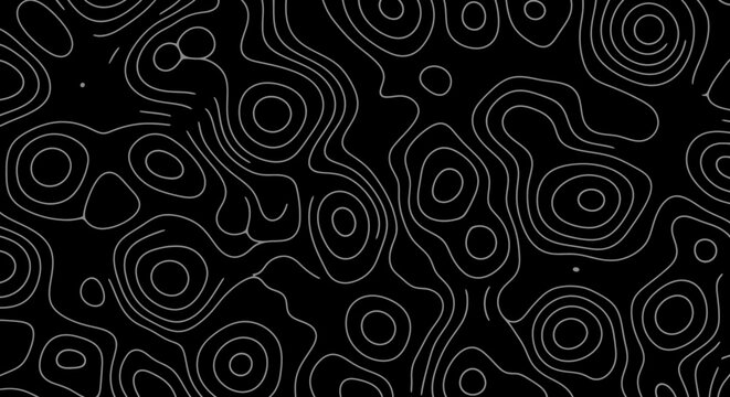 Abstract Topographic Map Lines