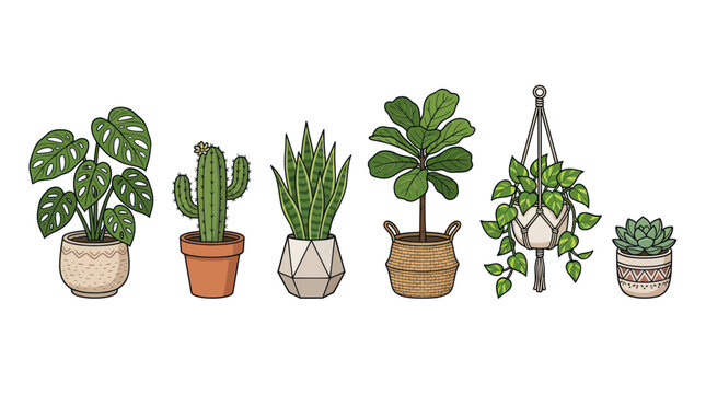 Set of Potted Houseplants: Monstera, Cactus, Snake Plant, Fiddle Leaf Fig, Hanging Plant