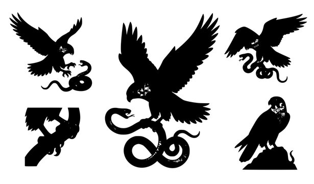 Artistic falcon hunting snake vector set with powerful predator illustration