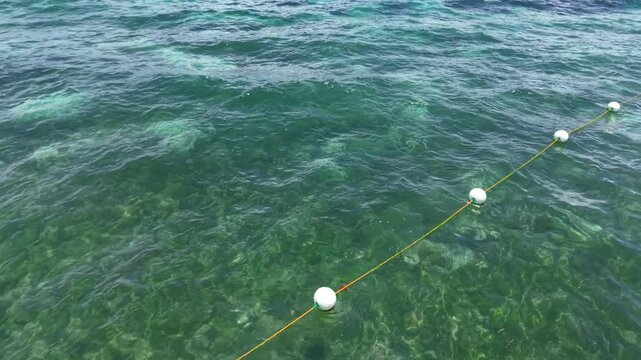 Drone Tilt-Down from Ocean Horizon to Coral Reef with Fish, Panglao Bohol