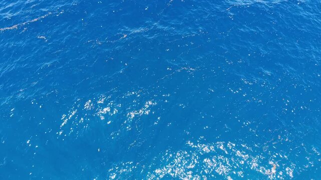 Aerial from Deep Blue Open Water to Turquoise Shallows, Panglao Bohol