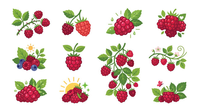 Collection of fresh raspberries and blueberries with green leaves and sun illustrations.