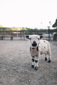Processed with VSCO with a1 preset