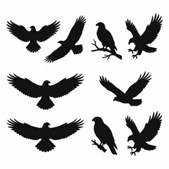 Fototapeta premium Black Silhouette Set of Eagles Flying and Perching on White Background