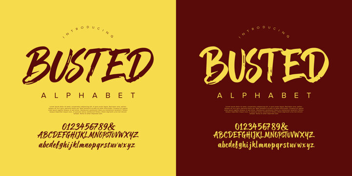 Busted Brush Script Font Handwritten Typography Alphabet Display Typeface for Modern Graphic Design Projects