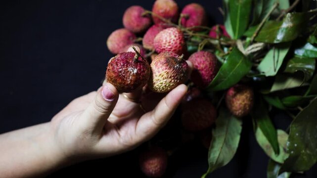 rotten lychee close up with textured skin and fungal contamination details