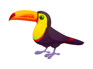 Fototapeta premium Cartoon toucan bird character standing with a large bright beak and smooth tropical plumage. Vector exotic jungle animal with colorful plumage, vivid rainforest wildlife tropical and natural creature