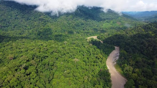 Aerial view of tropical rainforest jungle and river in sumatra