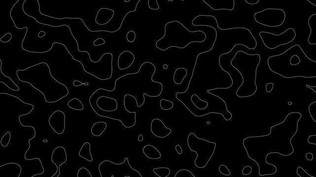 Topographic Map Background, Moving waves on black background. 4K looped animation.
Seamless loop terrain map elevation pattern. Abstract Fractal lines background animation. 