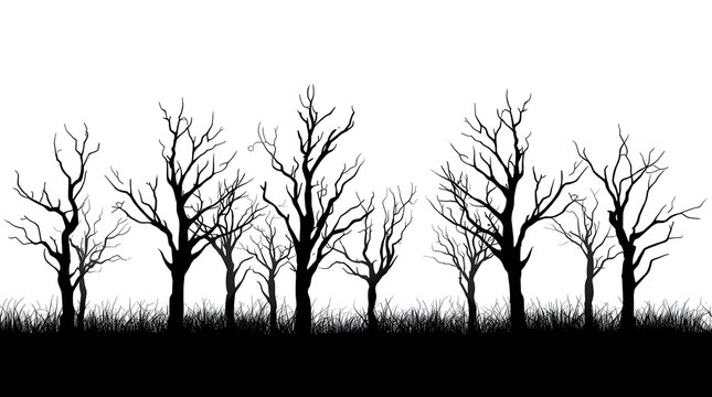 silhouette dead leafless trees on white. spooky, scary, horror etc concept.
