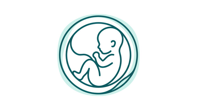 Fetus icon, prenatal development, human embryo inside womb, minimalist illustration