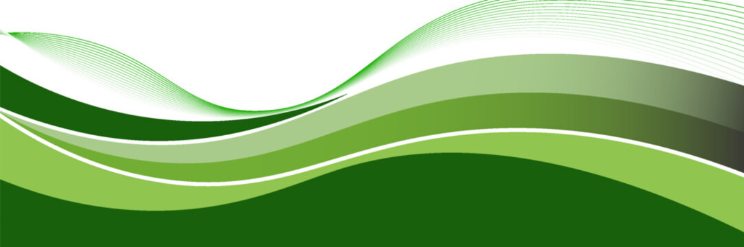 Abstract green wave background, Vector green line background curve element with white space for text and message design, overlapping layers.