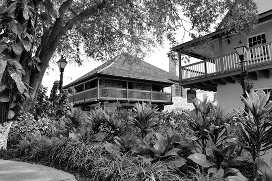 Black and white of a tropical garden in old St. Augustine Florida