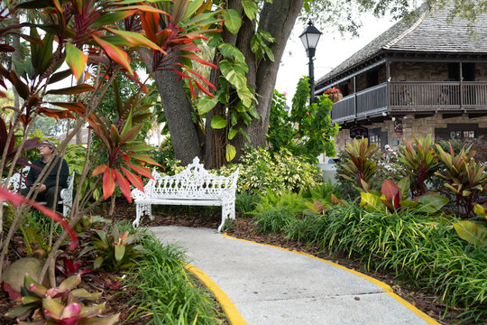 Iron bench sits among the tropical plants of a classic Florida garden