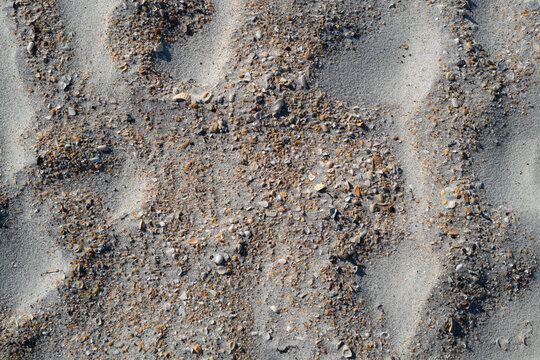 Close-up of small pebbles and shells found in the sands of a beach in St. Augustine Florida