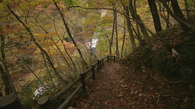 紅葉が美しい秋の秋保大滝 Akiu Great Falls in autumn, when the autumn leaves are beautiful.