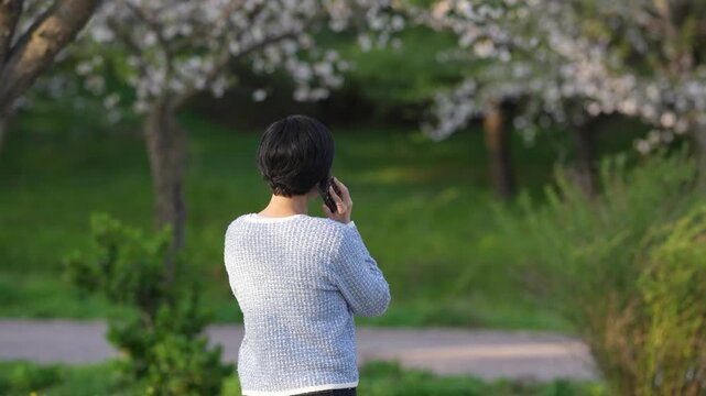 Soft spring light bathes blooming cherry trees. Person walks, phone to ear, lost in conversation. Green grass, trees, and path frame the scene. Quiet moments, everyday connection, nature's embrace