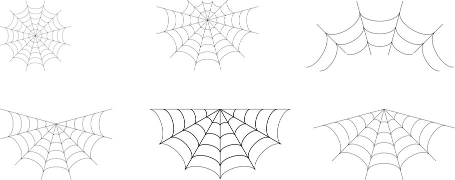 halloween Collection of various spider web designs with white background
