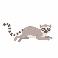 a cartoon lemur resting on a white background © Felipe