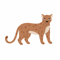 Fototapeta premium Cute Wild Puma Illustration in Minimalist Woodland Animal Style