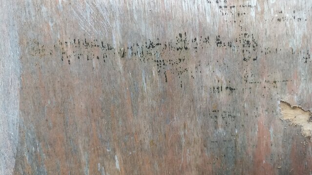 Old Plywood Surface with Faded Marks and Natural Grain. Aged plywood texture featuring faded dark markings and natural wood grain details