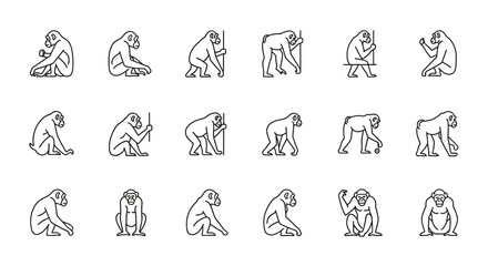 Fototapeta premium Monkeys in various poses set of linear outline icons for design elements